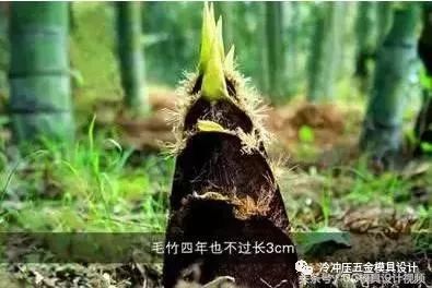 有多少模具人,没有熬过那三厘米!你会是个例外吗!的图3